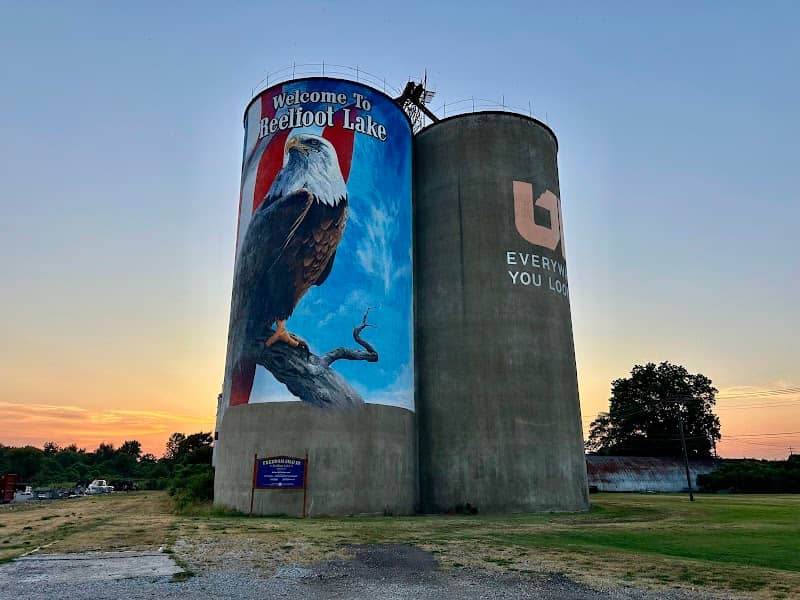 Freedom Silo III Reelfoot Lake - Image 1