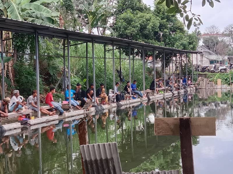 Pemancingan Depan Masjid (PDM) harian ikan campur - Image 1