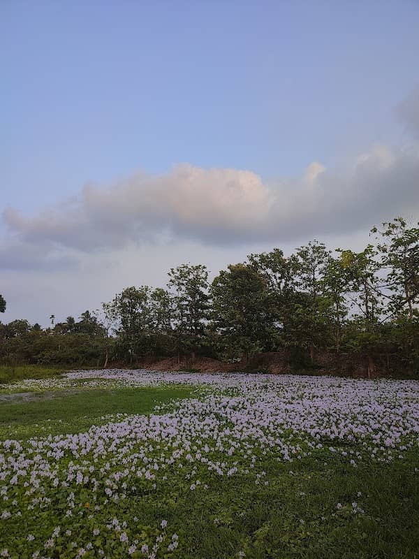 View Point - Image 1