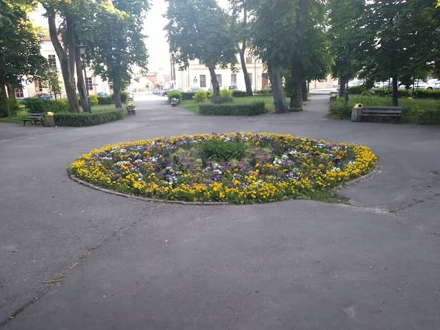 Plac Kilińskiego - Image 2