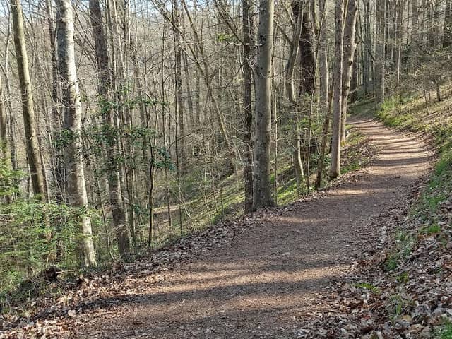 Mountain HomePlace - Image 2