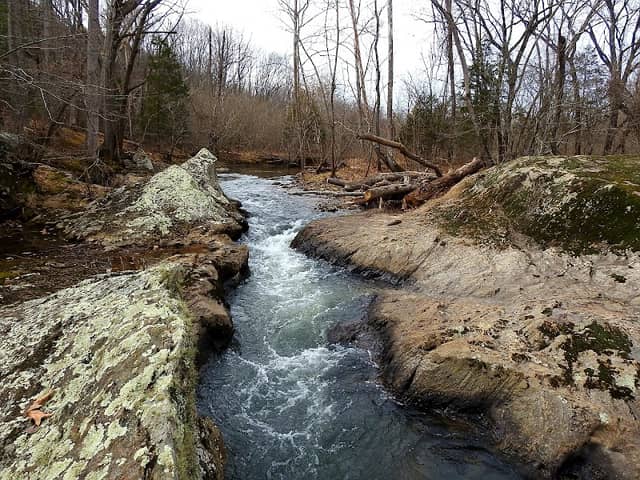 Claytor Nature Center - Image 1