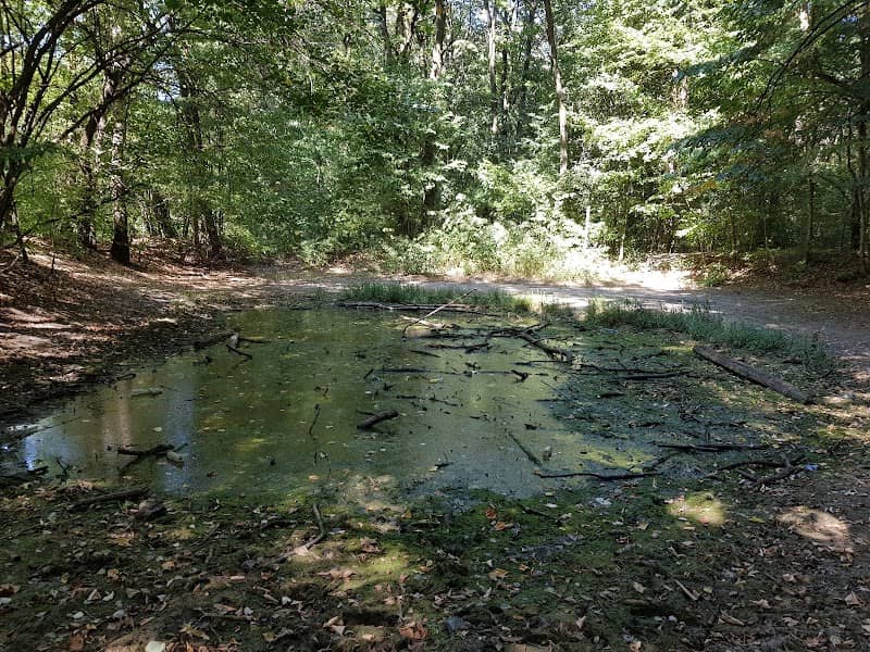 Balta Vrajitoarelor - Image 1