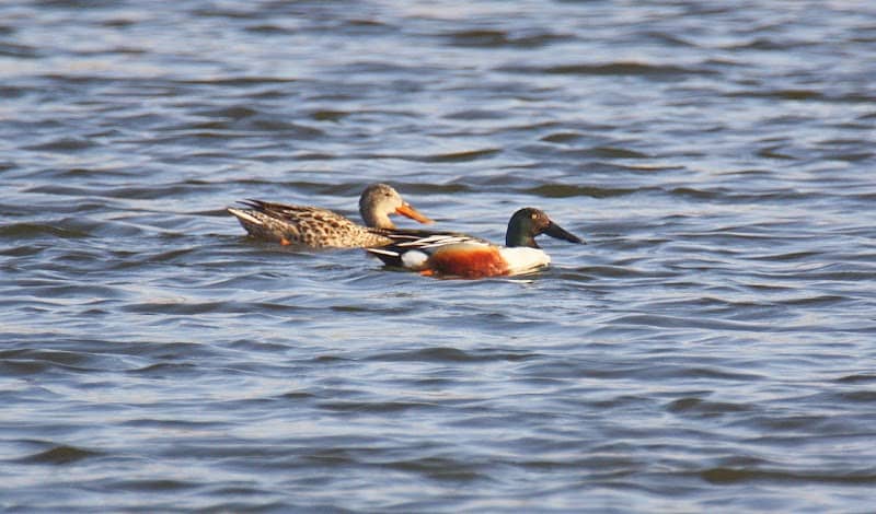 Prairie Park - Image 2