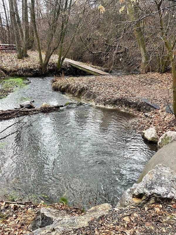 Wellsville Forest - Image 1