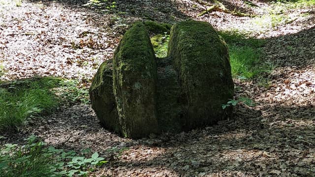 Am Hosenknopf - Image 1