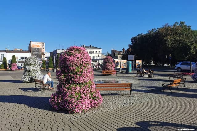 Plac Kościuszki - Image 1