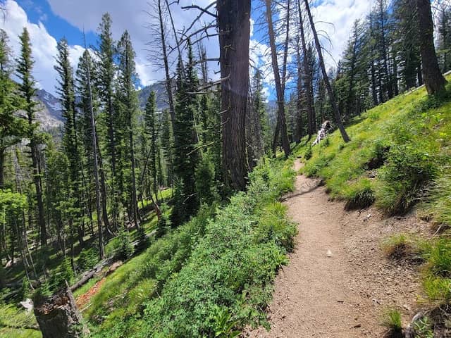 Iron Creek Trailhead - Image 1
