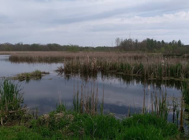 Allenton Marsh Wildlife Area - Image 2