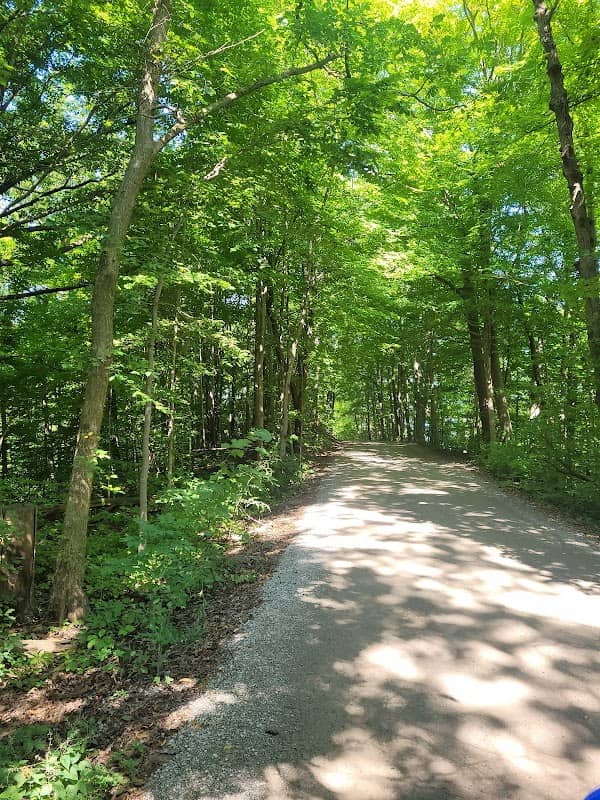 Don Mahon Park - Image 1