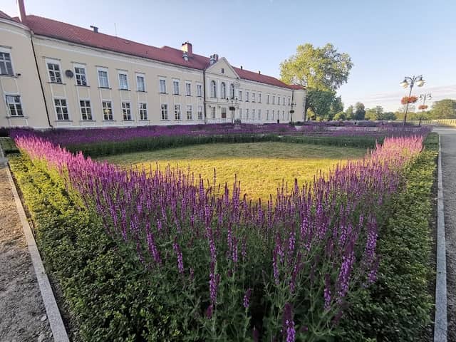 Pałac rodu von Hoym - Image 1