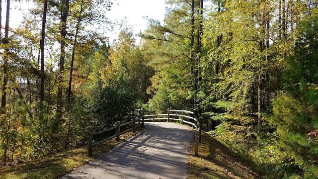 Mills School Park - Image 1