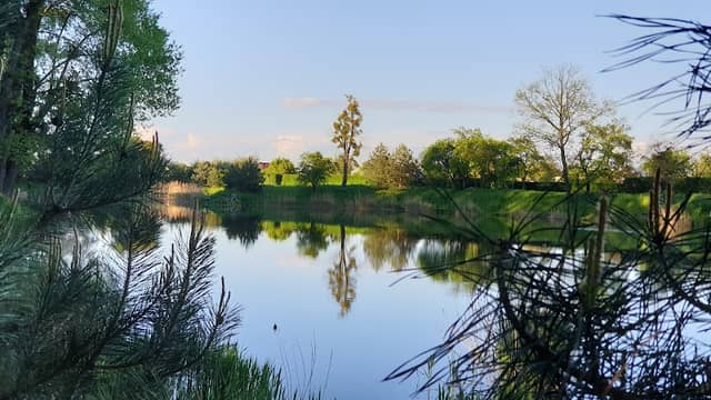 Cegielnia, Grodków - Image 1