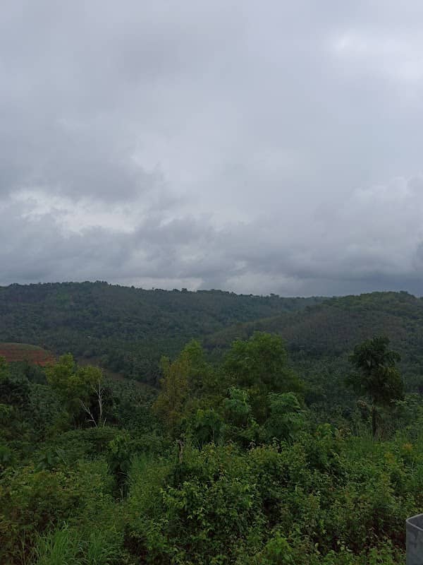 Karicheri view point - Image 1