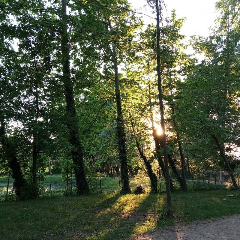Parco oasi risorgive di Motta - Image 3