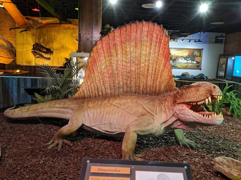 The Whiteside Museum of Natural History - Image 1