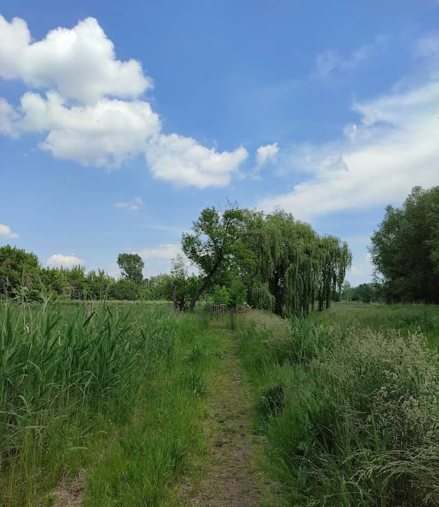 Bulwary nad Mleczną - Image 1