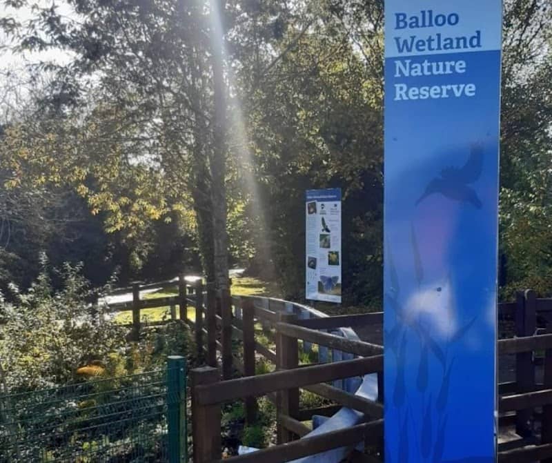 Balloo Wetland - Image 1