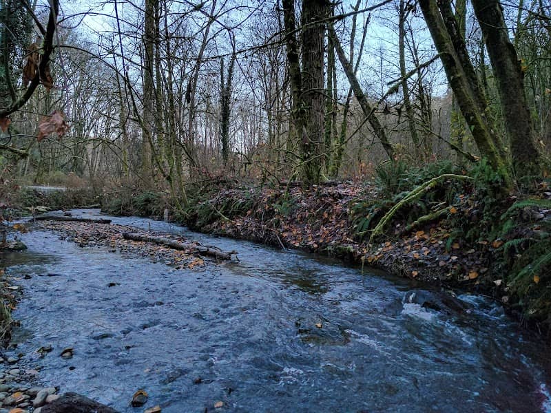 May Creek Park - Image 1
