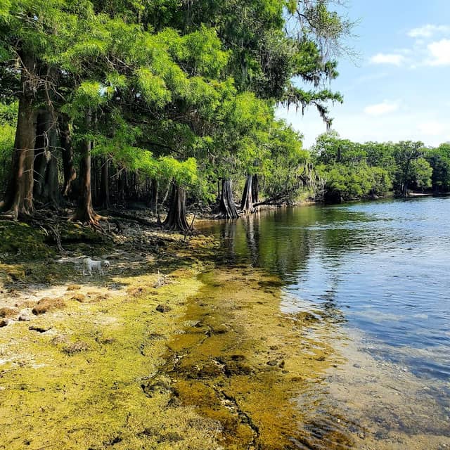 Brennan Park - TREPO - Image 1