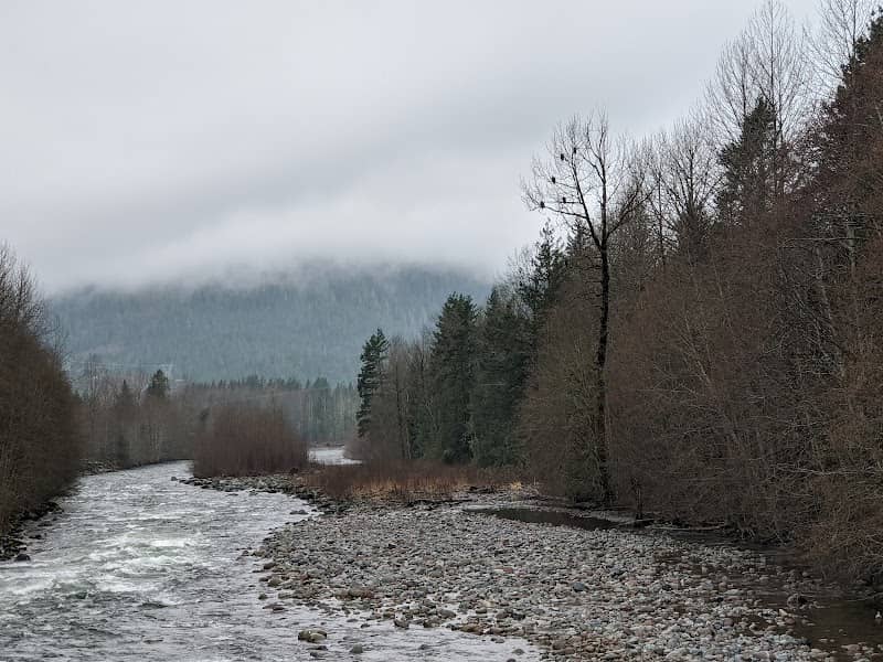 Brackendale Eagles Provincial Park - Image 1