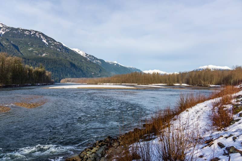 Brackendale Eagles Provincial Park - Image 3
