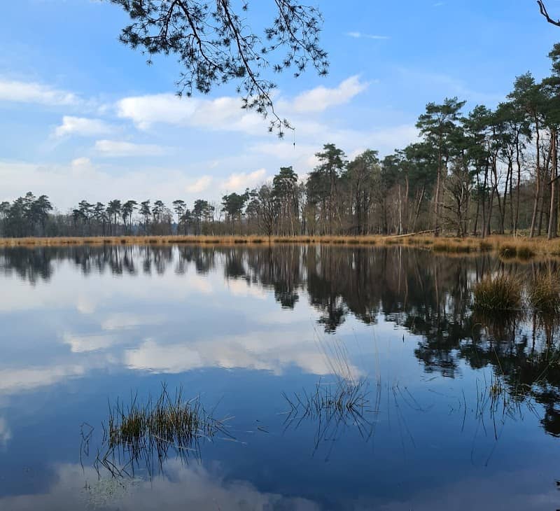 Lunsveen - Image 1