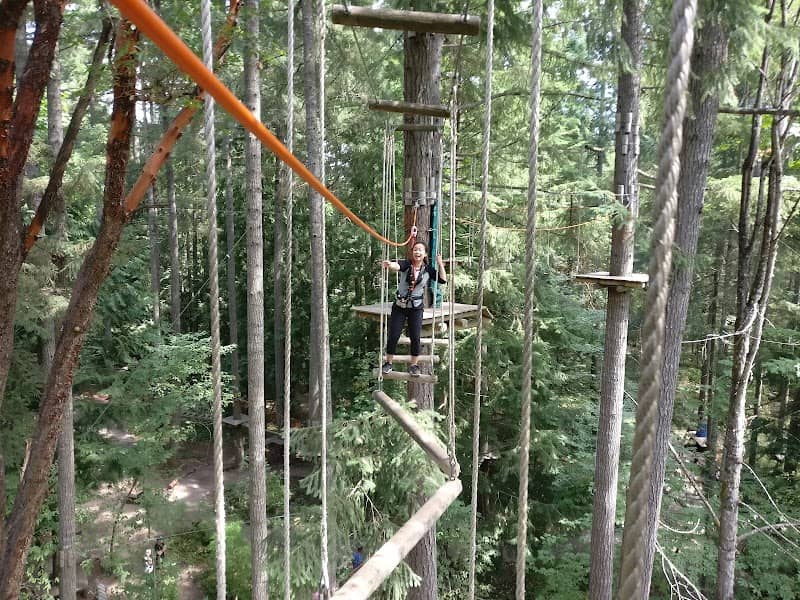 WildPlay Nanaimo - Image 2