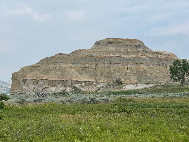 Little Mo Nature Trail - Image 1