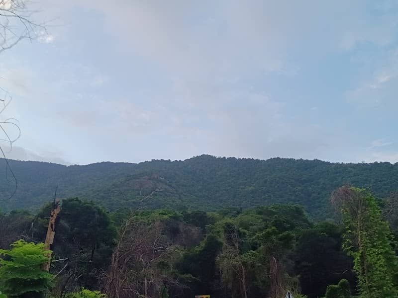 Kolli hills - Image 1