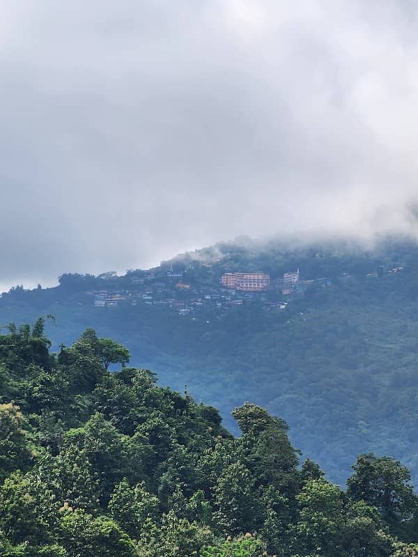 Sukna Canopy Road - Image 1