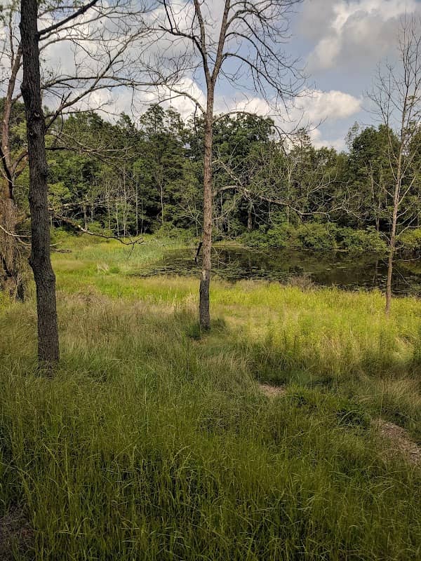 Back Mountain Trail - Judith & David Rimple Loop Trail - Image 1