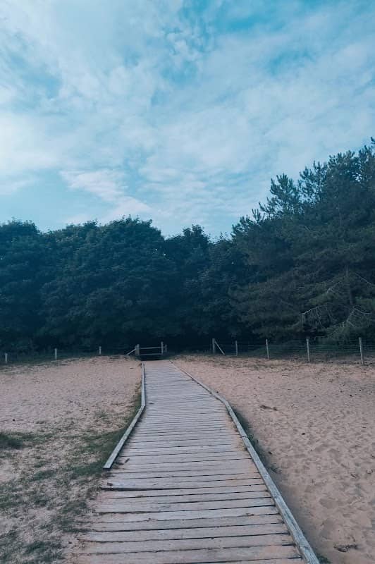 Picnic Area - Image 2