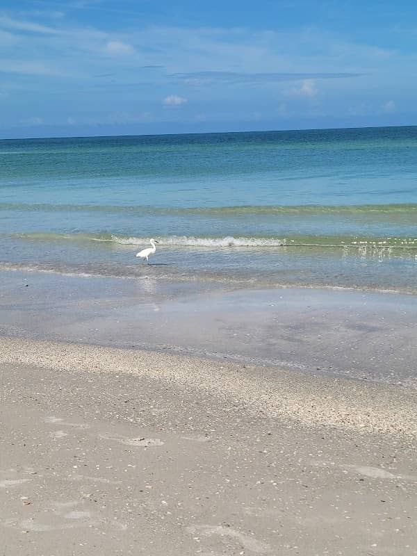 15th Ave Beach Access - Image 2
