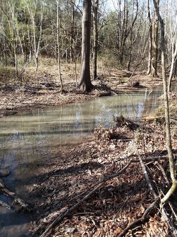 Mississippi Creek - Image 1