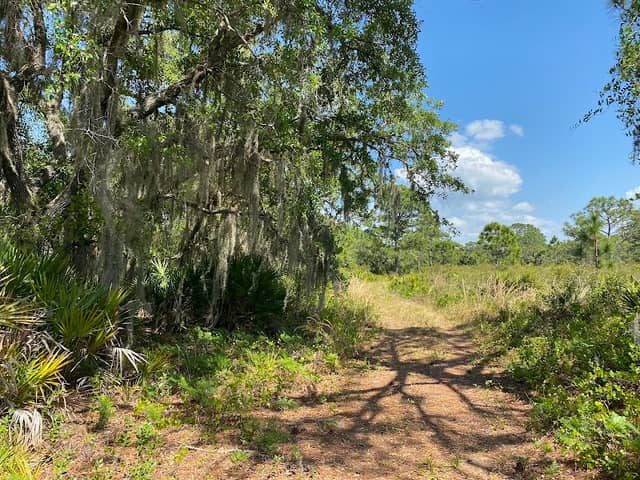Curry Creek Preserve : East Entrance - Image 1