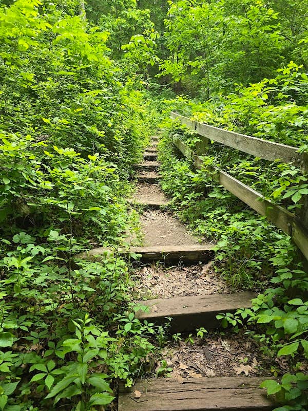 Old Indian trail head to crows nest - Image 1