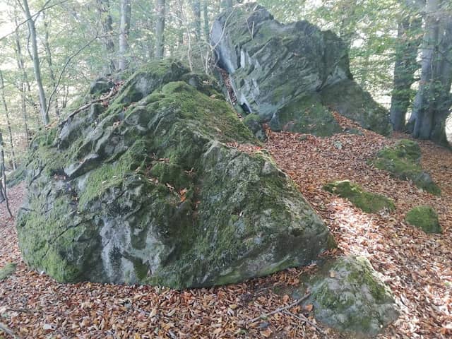 Heiliger Hain - Image 2