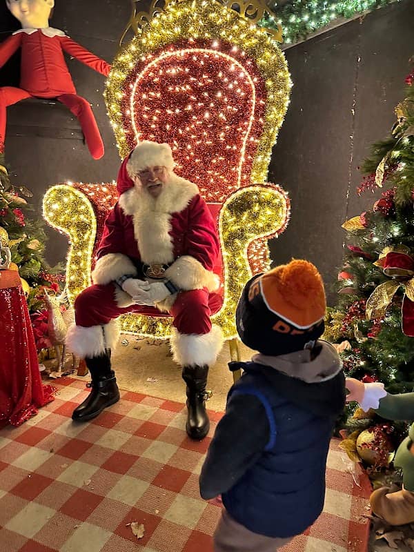 Christmas at the Park - Image 1