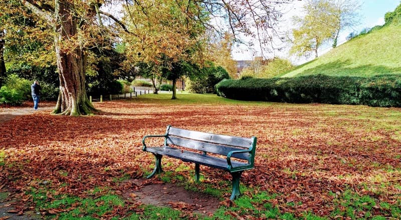 Town Park Sworder's Field - Image 1