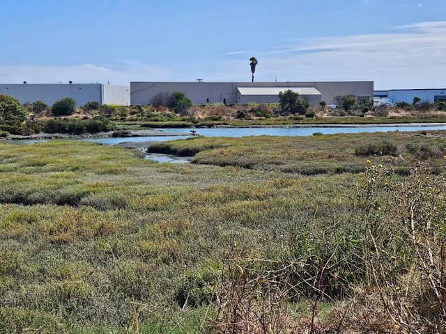 San Bruno Slough - Image 2