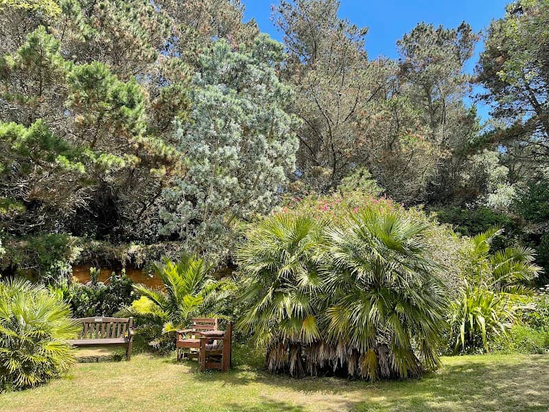 Carreg Dhu Gardens - Image 2