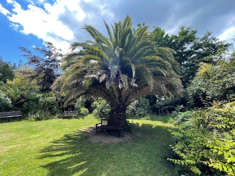 Carreg Dhu Gardens - Image 1
