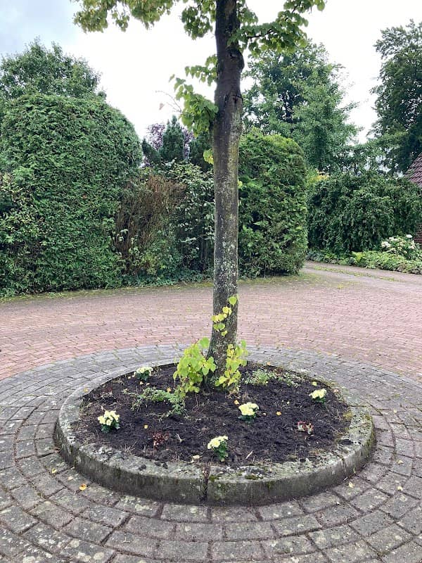 Palmeninsel - Image 2