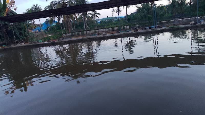 Kolam pemancingan harian Tapip - Image 1
