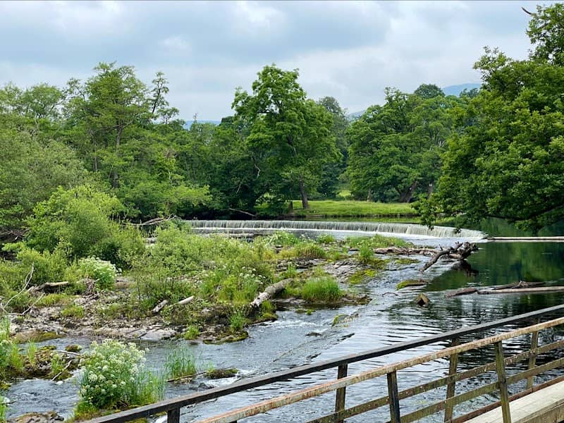 Horseshoe Falls - Image 2