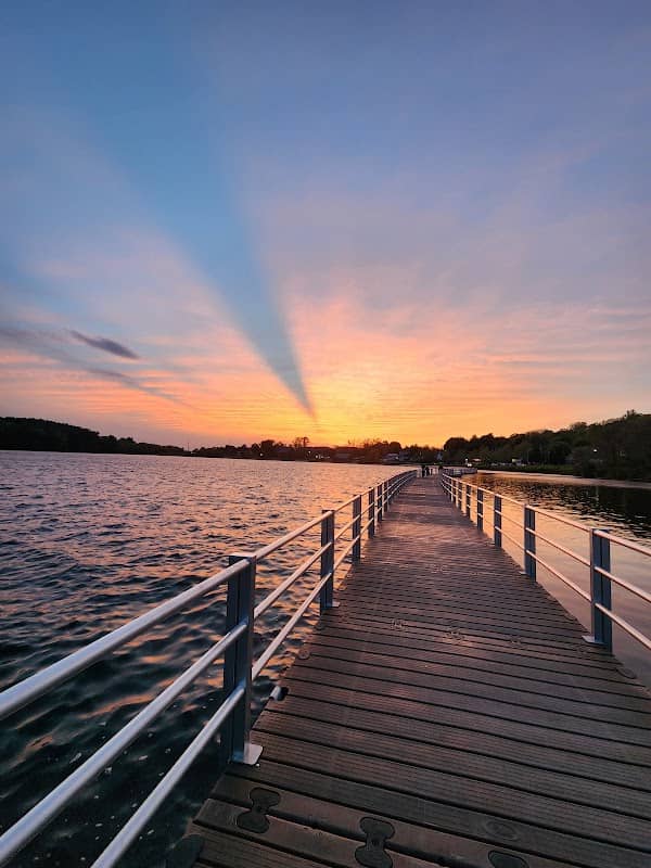 Lake Williams Boardwalk - Image 2