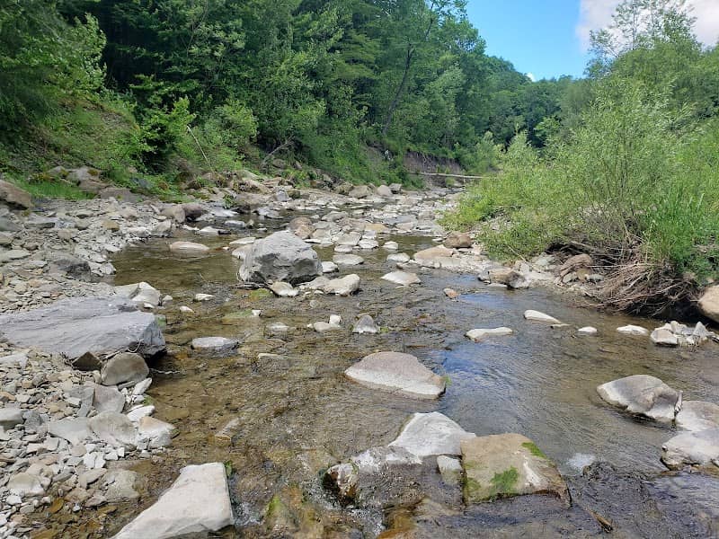 Canadaway Creek Wildlife Management Unit (Creekside Access) - Image 1