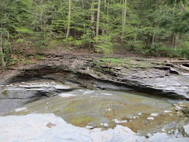 Canadaway Creek Wildlife Management Unit (Creekside Access) - Image 2