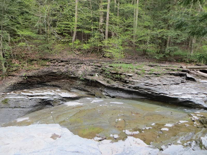 Canadaway Creek Wildlife Management Unit (Creekside Access) - Image 2